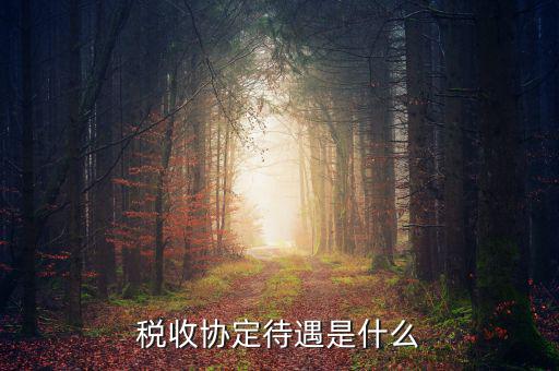 什么是協定免稅待遇，協定關稅是一個國家與另一個國家之間通過協商相互給予對方以優惠待