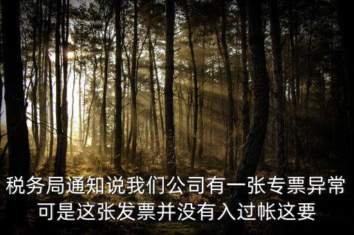 稅務局通知說我們公司有一張專票異常可是這張發票并沒有入過帳這要