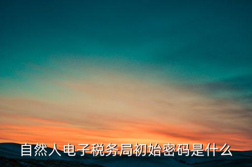 自然人電子稅務局初始密碼是什么