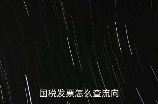 國稅發票怎么查流向