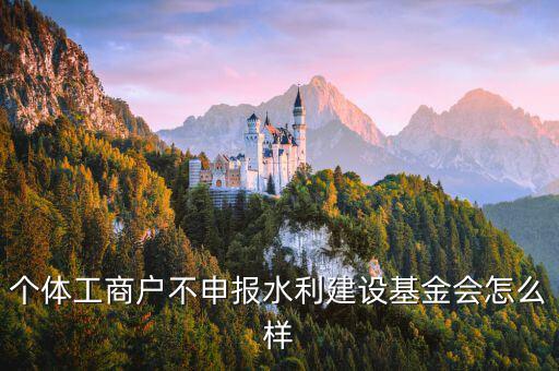 個體工商戶不申報水利建設基金會怎么樣
