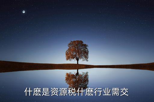 什麼是資源稅什麼行業需交