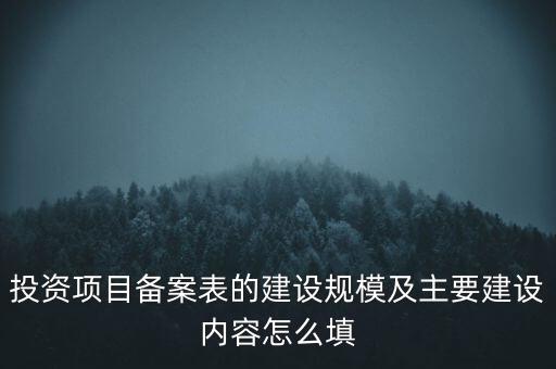 投資項目備案表的建設規模及主要建設內容怎么填