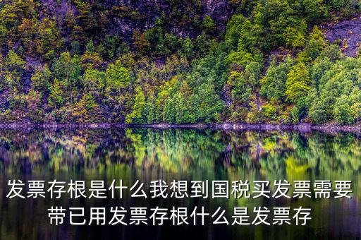 發票存根是什么我想到國稅買發票需要帶已用發票存根什么是發票存