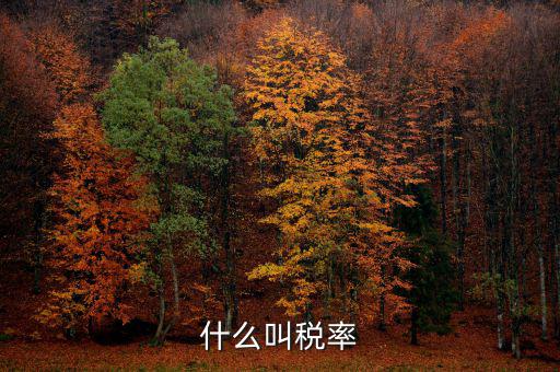 什么叫增值稅稅率，增值稅普通發票的稅率是什么意思
