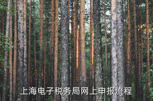 上海稅務網上直報是什么，什么是網上報稅