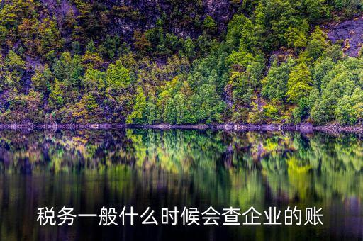 稅務一般什么時候會查企業的賬