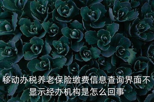 移動辦稅養(yǎng)老保險繳費信息查詢界面不顯示經(jīng)辦機構是怎么回事