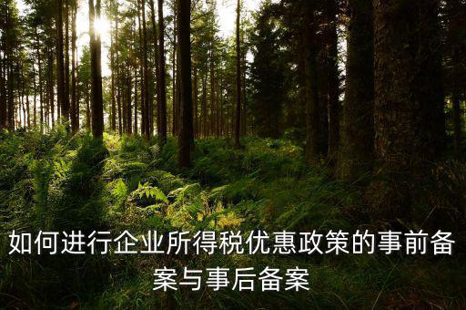 如何進行企業所得稅優惠政策的事前備案與事后備案