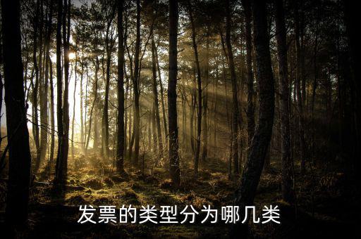發票的類型分為哪幾類