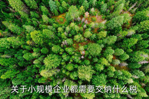 關于小規模企業都需要交納什么稅