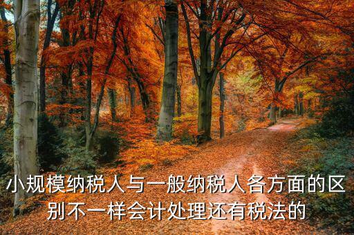 小規模納稅人與一般納稅人各方面的區別不一樣會計處理還有稅法的