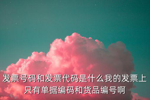 發票號指的是什么，發票號碼是指哪個號碼