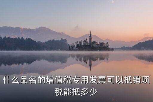 什么品名的增值稅專用發票可以抵銷項稅能抵多少