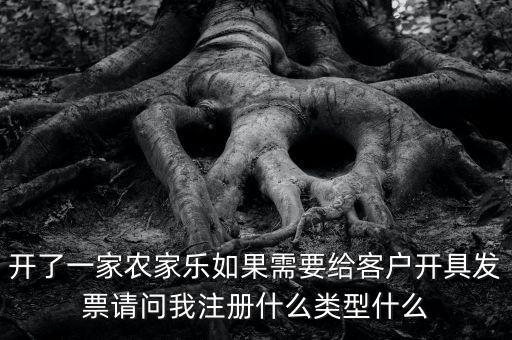 開了一家農家樂如果需要給客戶開具發票請問我注冊什么類型什么
