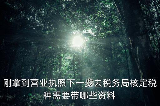 剛拿到營業執照下一步去稅務局核定稅種需要帶哪些資料