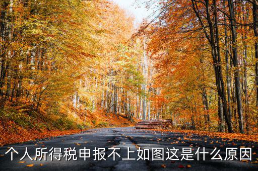 個稅申報失敗為什么，8月份個稅申報反饋時申報失敗怎么回事問專管員說已經申報了但