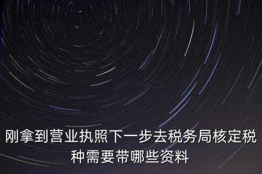 湖北國稅增加稅種需要帶什么資料，企業報稅種需要帶什么資料