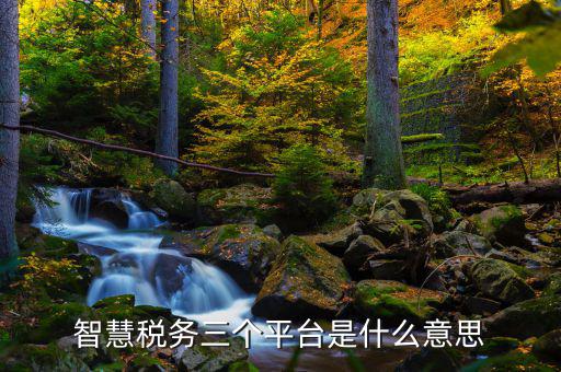智慧稅務三個平臺是什么意思