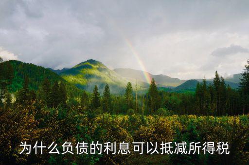 企業(yè)負(fù)債時稅率有什么優(yōu)惠，企業(yè)所得稅優(yōu)惠政策有哪些