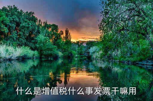 什么是增值稅什么事發票干嘛用