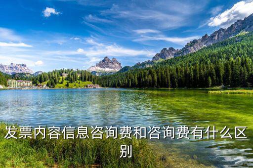 發票內容信息咨詢費和咨詢費有什么區別