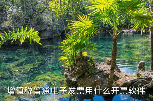 增值稅普通電子發票用什么開票軟件