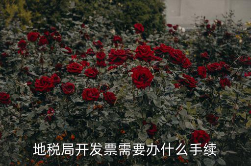 地稅局開發票需要辦什么手續