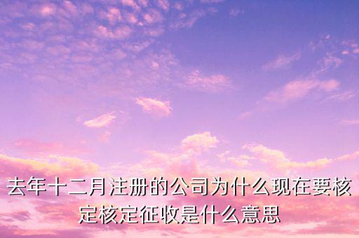 去年十二月注冊的公司為什么現在要核定核定征收是什么意思