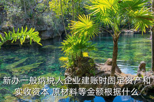 新辦一般納稅人企業建賬時固定資產和實收資本 原材料等金額根據什么
