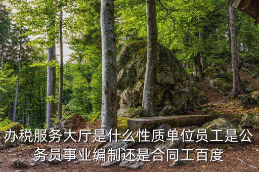 什么是辦稅服務大廳，辦稅服務廳的基本服務包括哪些