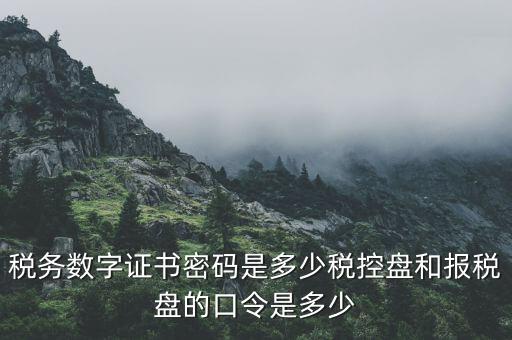 國稅申報ca默認(rèn)密碼是什么意思，國家稅務(wù)總局網(wǎng)上辦稅服務(wù)廳初始密碼是什么
