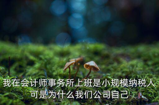 我在會計師事務所上班是小規模納稅人可是為什么我們公司自己