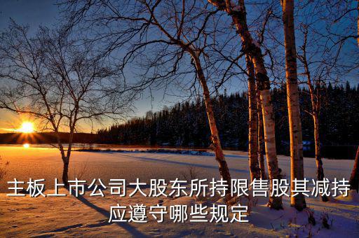 主板上市公司大股東所持限售股其減持應遵守哪些規定
