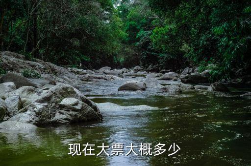 車輛大票是額多少什么，現在大票大概多少