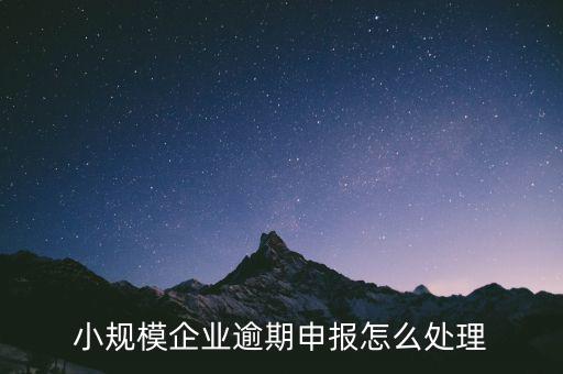 小規模企業逾期申報怎么處理