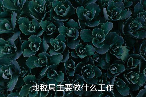 地稅局主要管什么的，地稅局工作的主要內容