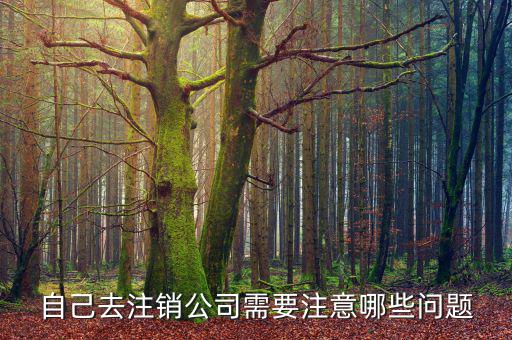企業注銷需要注意什么，公司撤銷與注銷有哪些注意事項