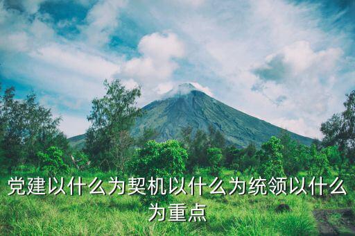 黨建以什么為契機以什么為統領以什么為重點