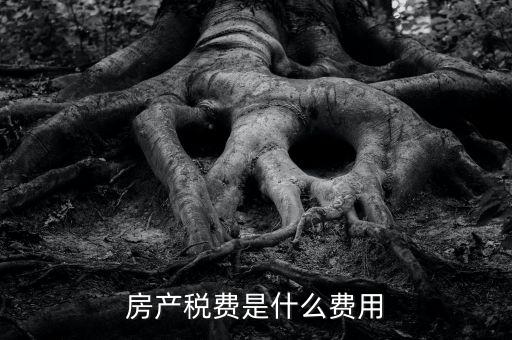 什么是房土兩稅，什么是城鎮土地使用稅