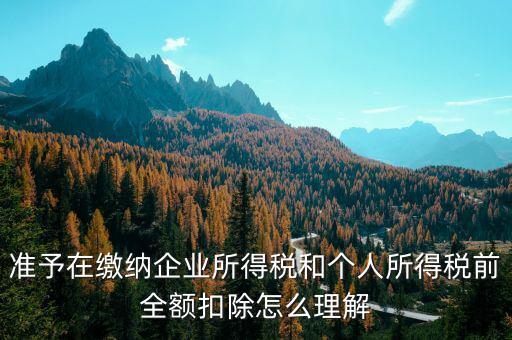 準予在繳納企業所得稅和個人所得稅前全額扣除怎么理解