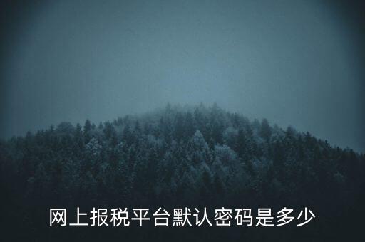 網上報稅平臺默認密碼是多少