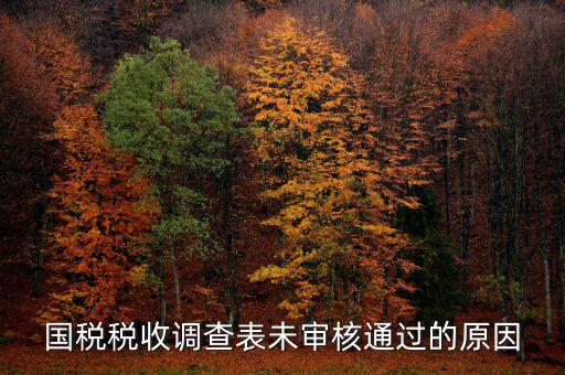 國稅網為什么查不到預審信息，在國稅上我明明已經申報過了為什么查詢不出來