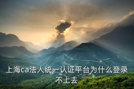 上海ca法人統一認證平臺為什么登錄不上去