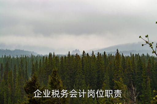 企業稅務會計崗位職責