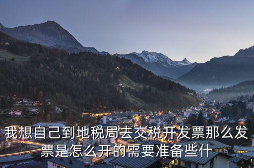我想自己到地稅局去交稅開發票那么發票是怎么開的需要準備些什