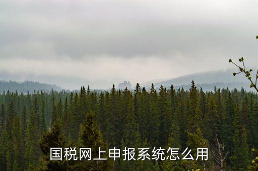 國稅網絡預申請系統是什么，怎么安裝國稅網上申報系統