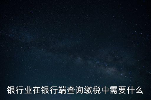 銀行業在銀行端查詢繳稅中需要什么
