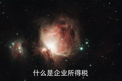 什么是企業所得稅