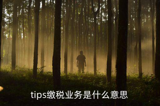 tips繳稅業務是什么意思